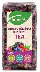  BENEFITT Tea Erdei gyümölcs 100g