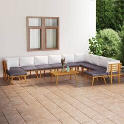 vidaXL Set mobilier de grădină cu perne, 12 piese, lemn masiv acacia (3087020) - comfy