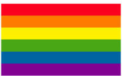 Szivárványzászló szivárvány Melegbüszkeség meleg büszkeség LMBT Budapest Pride zászló 90x150cm