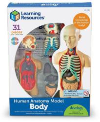 Learning Resources Macheta corpul uman (LER3336)