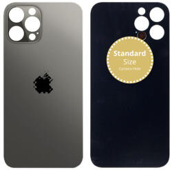 Apple iPhone 12 Pro Max - Sticlă Carcasă Spate (Graphite), Graphite