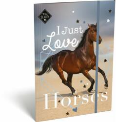 Ars Una Lovas/Wild Beauty Love A/4 gumis dosszié (LI_2022_19018)
