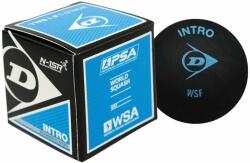 Dunlop Intro squash labda