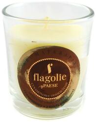 Flagolie Lumânare parfumată Scorțisoară - Flagolie by Paese Scented Candle Cinnamon 70 g
