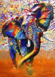 Bluebird Puzzle - Puzzle Culori africane - 1 000 piese Puzzle