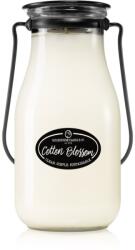 Milkhouse Candle Milkhouse Candle Co. Creamery Cotton Blossom lumânare parfumată Milkbottle 397 g
