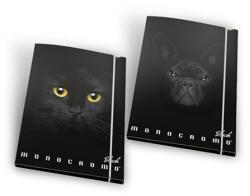 Pigna Gumis mappa A/4 PIGNA Monocromo Black (02308593L)