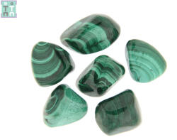 Malachit Rulat Natural 30-38 x 22-28 mm - ( XL ) - 1 Buc