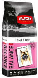 Panzi Alice Balance Lamb, Rice Adult 17 kg