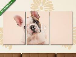 Többrészes Vászonkép, Premium Kollekció: Aranyos francia bulldog kiskutya fekszik egy creme színű backgro(125x60 cm, L02)