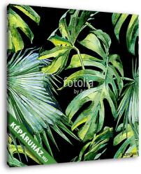 Vászonkép: Premium Kollekció: Trópusi zöld levelek(20x20 cm)
