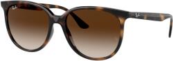 Ray-Ban RB4378 710/13