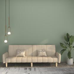 vidaXL Canapea extensibilă cu 2 locuri, gri deschis, catifea (337379) Canapea