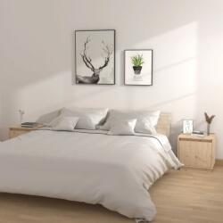 vidaXL Noptiere, 2 buc. , 40x30x40 cm, lemn masiv de pin (813306)
