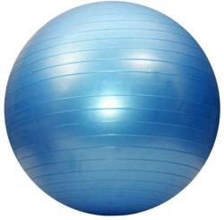Dayu Fitness Minge de aerobic pentru sala 75cm, albastru (DY-GB-070-75CM-albastru)