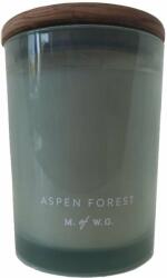 DW HOME Aspen Forest 420 g