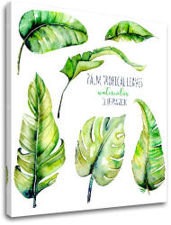  Tablouri canvas cu text Palm tropical leaves (tablouri moderne) (XOBTEX055E1)