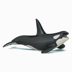 Papo Figurina Balena Ucigasa (Papo56000) - ejuniorul Figurina