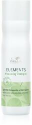 Wella Elements șampon regenerator pentru un par stralucitor si catifelat 250 ml