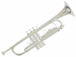 Roy Benson TR-202S Bb-trombita