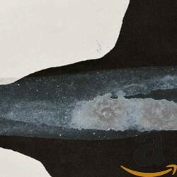 VEDER EVERGREEN - facethemusic - 7 190 Ft