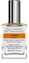 THE LIBRARY OF FRAGRANCE Amber EDC 30 ml
