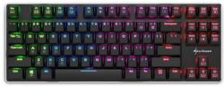 Sharkoon PureWriter TKL RGB Kailh Blue US (4044951021529)