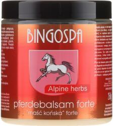 BINGOSPA Balsam cu grăsime de cal și ierburi alpine - BingoSpa 250 g