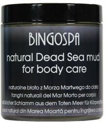 BingoSpa Mască cu nămol de la Marea Moarta - BingoSpa Black Mud Dead Sea 100% 300 g