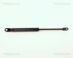 TRISCAN Amortizor capota TRISCAN 8710 1101 (8710 1101) - automobilus