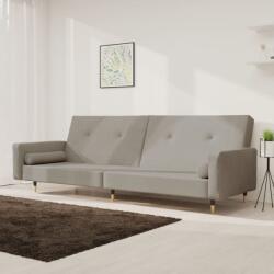 vidaXL Canapea extensibilă cu 2 locuri, 2 perne, gri deschis, catifea (337333) Canapea