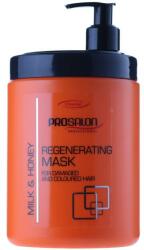 ProSalon Mască regenerantă Lapte și miere - Prosalon Hair Care Mask 1000 g