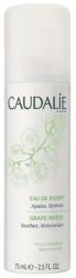 Caudalie Feminin Apă hidratantă cu extract de struguri Caudalie Cleansing & Toning Grape Water 75 ml