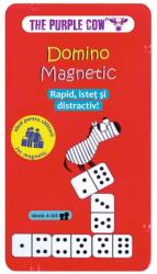  Joc magnetic, Domino, joc interactiv pentru copii, 28 piese (NBN000CW0214)