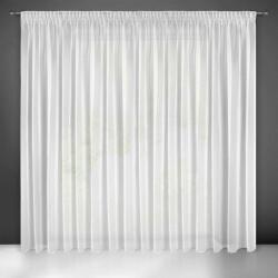 EUROFIRANY Esel fényes mikrohálós fényáteresztő függöny Fehér 400x250 cm