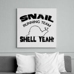 printfashion Snail running team - Vászonkép - Fehér (7359236)