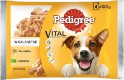 PEDIGREE Vital Protection Hrană umedă pentru câini adulți Jell-O de miel și pui 4x100g