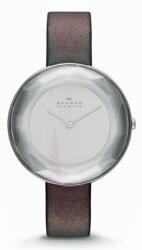 Skagen SKW2274 Ceas