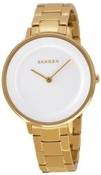 Skagen SKW2330 Ceas