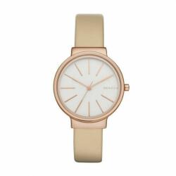 Skagen SKW2481 Ceas