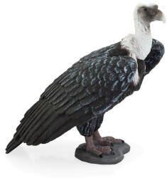 Mojo - Figurina Vultur Grifon (MJ387165) - roua