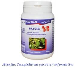 FAVISAN Salcie 40 capsule Favisan