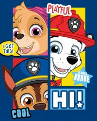  Mancs Őrjárat Always Brave polár takaró 100x140cm (BRM011298)