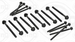 ELRING Set surub, chiulasa ELRING 733.100 (733.100)
