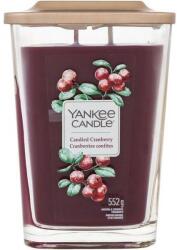 Yankee Candle Lumânare parfumată în pahar, două fitiluri - Yankee Candle Elevation Candied Cranberry 552 g