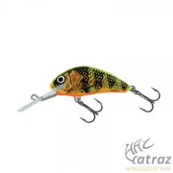 Salmo Hornet H2S GFP - Gold Fluo Perch (5907503898880)