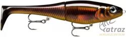 Rapala XRPT14 5W-50UV (XRPT14 UV5)