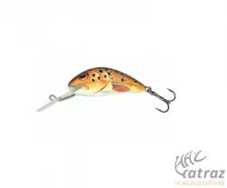 Salmo Hornet H3S T - Trout