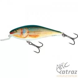 Salmo Executor IEX7SR RR - Real Roach (5907503890228)