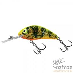Salmo Rattlin Hornet H4, 5 GFP - Gold Fluo Perch (84415041)